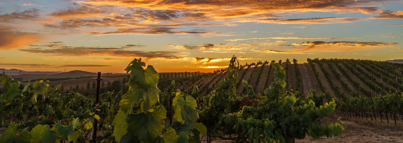 Why Is Sonoma Called The Valley Of The Moon